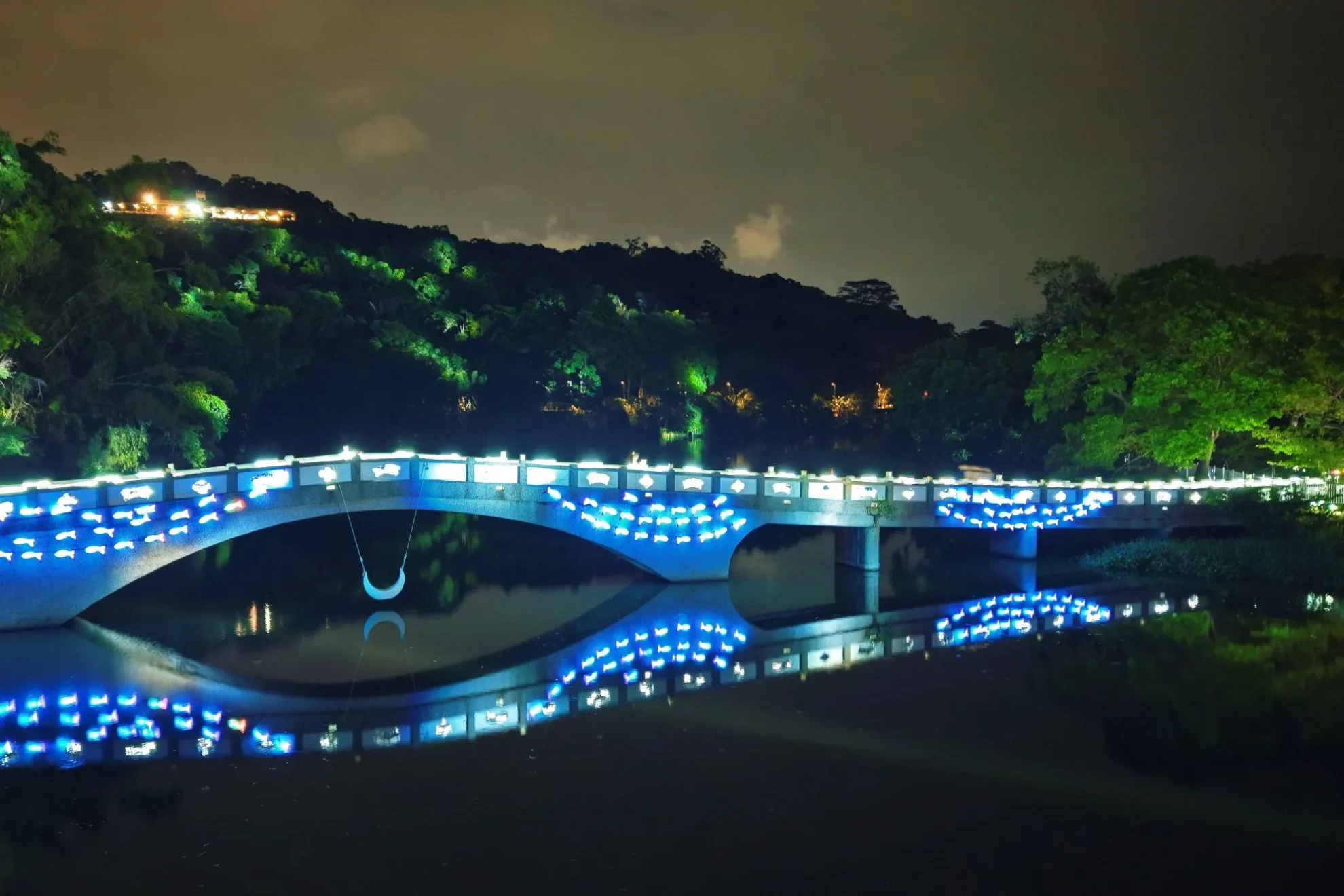 青草湖拱橋近景布滿藍色魚群燈飾,橋下光影映出對稱倒影